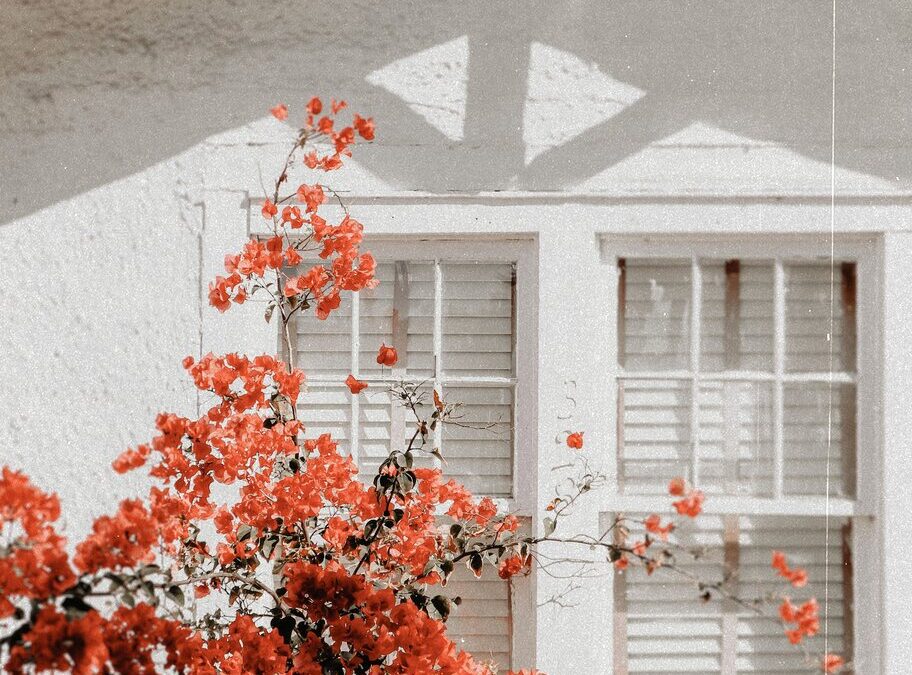 Buy a Home in Florida